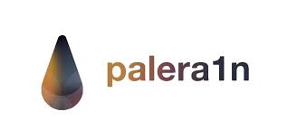 Palera1n image